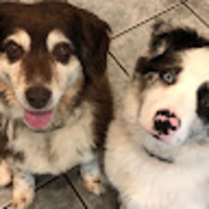 Meet your Posher, Alison